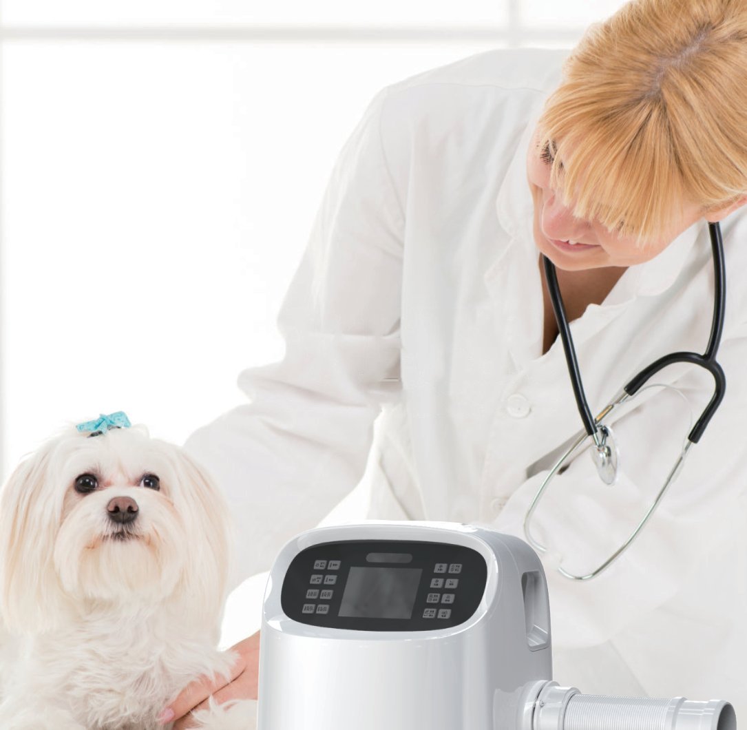 VHB forced-air warming unit on the examination table beside a canine patient and veterinarian