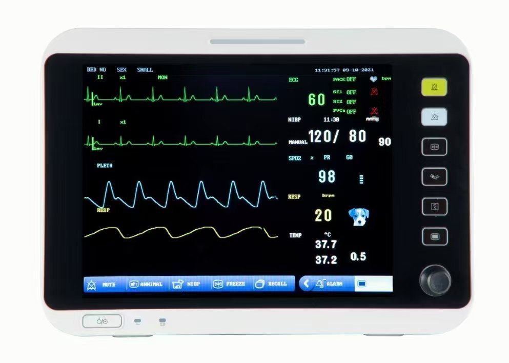 VM12 12.1-inch veterinary multi-parameter monitor, front view showing ECG, SpO2, NIBP, respiration and temperature readings