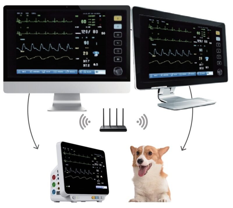 VM14Pro veterinary monitor connected to central monitoring stations through a wireless router